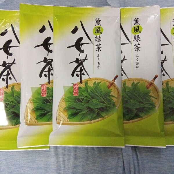 九州銘茶 八女茶5袋 煎茶 お茶 日本茶 緑茶