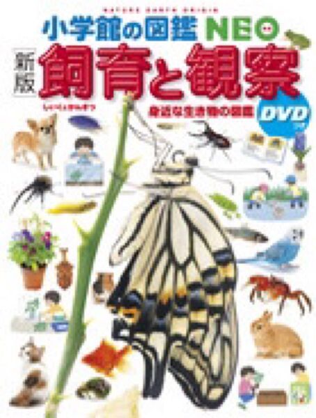 新版 小学館図鑑NEO 飼育と観察 DVD付