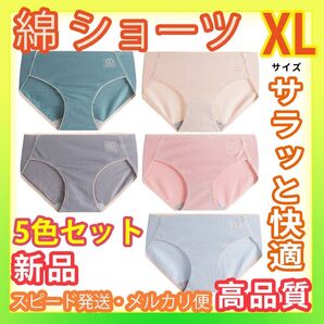 ショーツ 下着敏感肌 肌に優しい 女性下着敏感肌 肌に優しい ショーツ 女性下着 レディースショーツ綿 コットン 5色セットXL