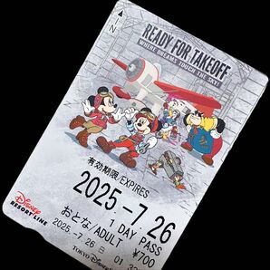 ディズニー リゾートライン☆使用済☆フリーきっぷ 切符 ドリームス・テイク・フライト フリーきっぷ TDR TDL TDS ミニー