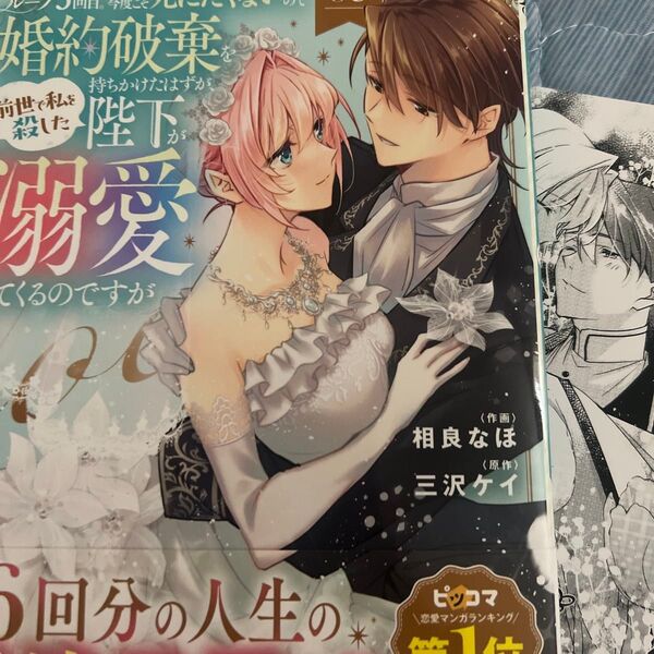 ループ5回目。今度こそ死にたくないので婚約破棄を持ちかけたはずが、前世で私を殺した陛下が溺愛してくるのですが 3