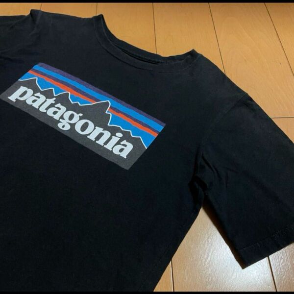 patagonia パタゴニア Tシャツ S
