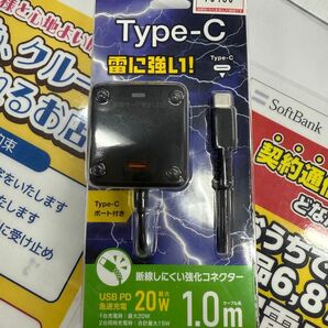 ELPA Type-C 急速充電器 強化ケーブル 20W 1.0m