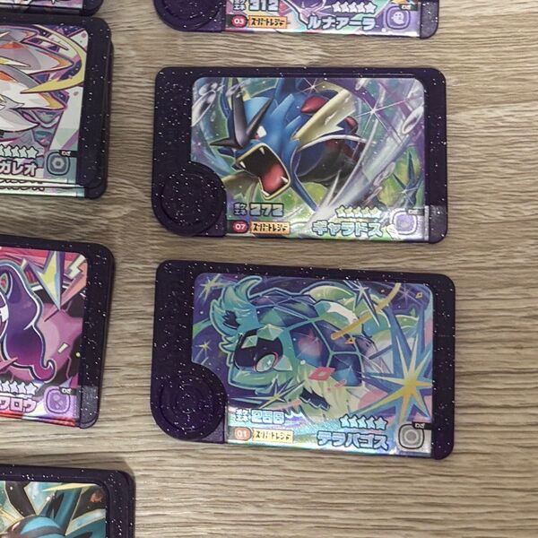 ポケモンフレンダ ギャラドス テラパゴス
