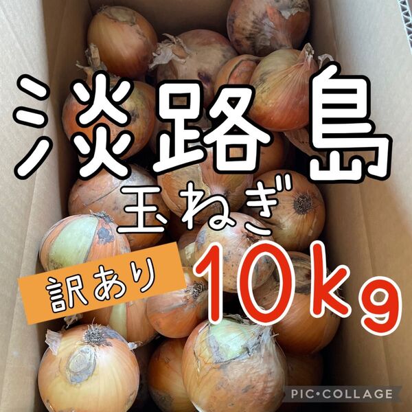 淡路島 玉ねぎ 訳あり 10キロ 送料込み!農家直送!