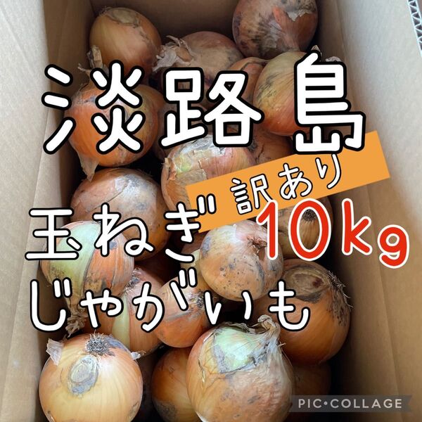 淡路島 玉ねぎ &じゃがいも 訳あり 10キロ 送料込み!農家直送!