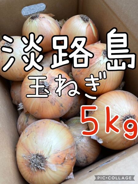 淡路島 玉ねぎ 秀品 5キロ 送料込み!農家直送!