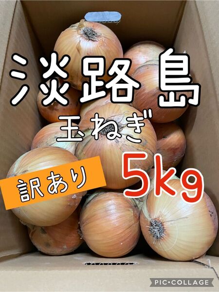 淡路島 玉ねぎ 訳あり 5キロ 送料込み!農家直送!