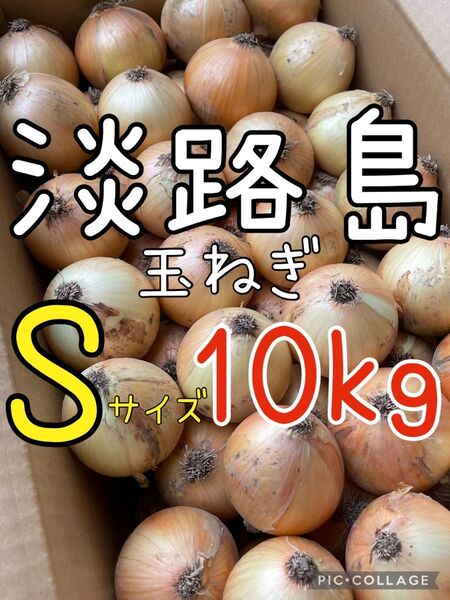 淡路島 玉ねぎ S 10キロ 秀品 送料込み!農家直送!