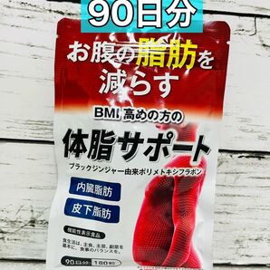 体脂サポート 90日分 180粒