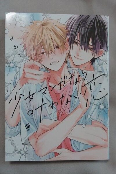 「少女マンガなら叶わない恋」