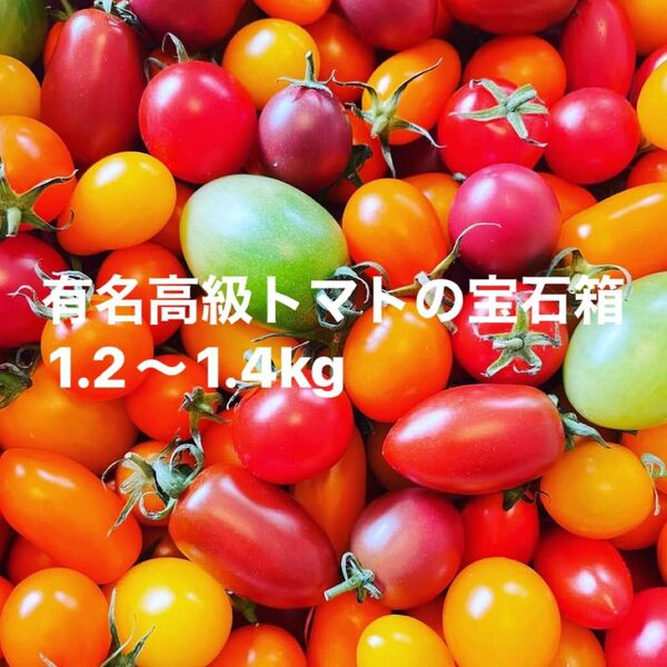 激甘い有名ミニトマトの宝石箱キャンディードロップ、シュガープラム、フラガール、トマトベリープレミアムなど