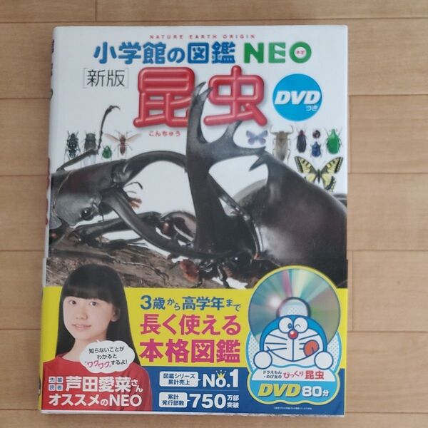 昆虫 (小学館の図鑑NEO 3) (新版) 小池啓一/指導・執筆 小野展嗣/指導・執筆 町田龍一郎/指導・執筆 田辺力/指導・執筆