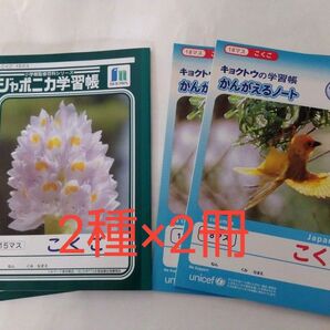 こくご ノート 4冊 15マス 18マス ジャポニカ学習帳とキョクトウノート 2種類×2冊