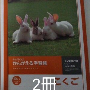 【専用です】国語 ノート 10マス 2冊 赤青鉛筆1ダース