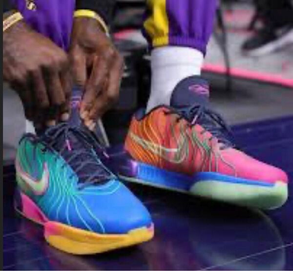 新品 ナイキ Lebron 21 XXI EP マルチカラー レブロン 28