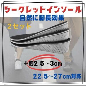 2セット シークレット インソール 3センチ 中敷 男女兼用 かかと スニーカー ブーツ メンズ レディース バイク