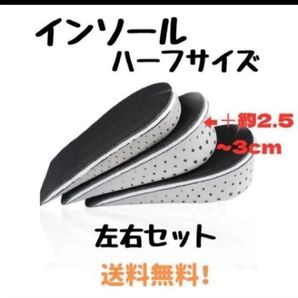3センチ ハーフサイズ シークレット インソール 中敷 男女兼用 スニーカー かかと