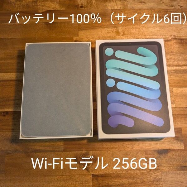 美品 バッテリー100% iPad mini A17 Pro 256GB シルバー wi-fiモデル A2993 2024