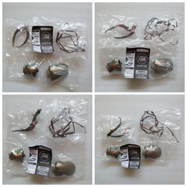 【内袋未開封・バラ売り可】フェイスタメルシワバネクワガタ メタリックグリーン くわがた10より1種 4個 いきもの大図鑑