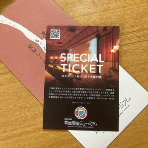 大分県 別府鉄輪 地獄温泉ミュージアム チケット