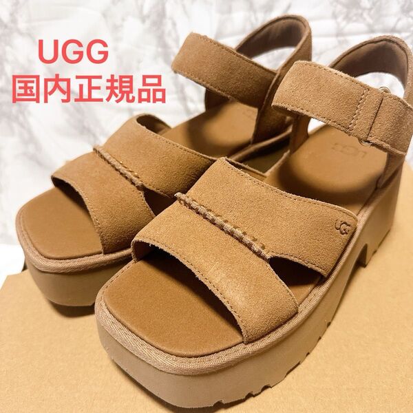 UGG アグ サンダル NEHEIGHTS ANKLE STRAP ニュー ハイツ アンクル ストラップ 23.5