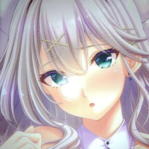 Guilty 虜ノ旋律 -refrain- アイナ・レミネン 抱き枕カバー バニーでエッチVer