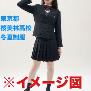 東京 桜美林中学・高校 女子用学生服 制服セット コスプレ jk jc 衣装 仮装 女子高生 文化祭 アイドル 余興 学園祭