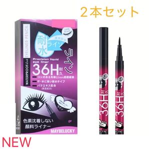 36H耐久 リキッドアイライナー ブラック 2本セット 新品