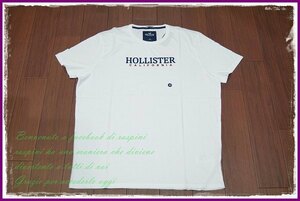 Hollister 刺繍 ロゴ Tシャツ 半袖/XL/ホワイト/白/メンズ ホリスター アバクロ カットソー a&f