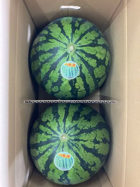 新潟県魚沼市 八色産大玉西瓜 3Lサイズ2玉入り1箱( 1玉約8kg〜) 生産者 上村梅七、山本富雄、関繁一さん他