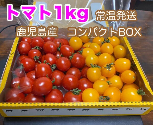 ミニトマト1kg コンパクト箱 鹿児島産 常温発送
