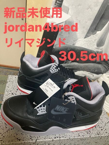 新品未使用jordan4bredリイマジンド30.5cm