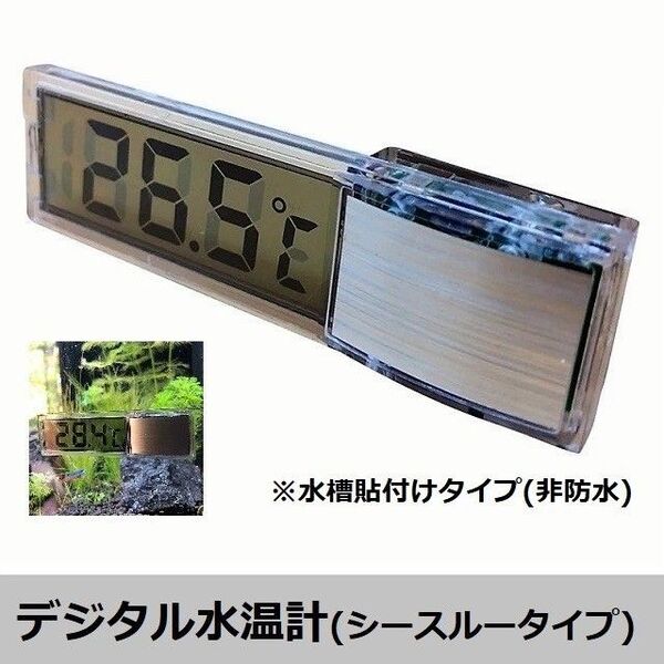 【シースルータイプ】デジタル水温計 9