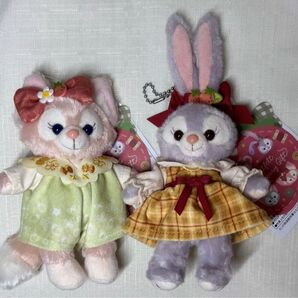 ぬいぐるみバッジ ディズニー ステラルー タグ付 ステラ ルー