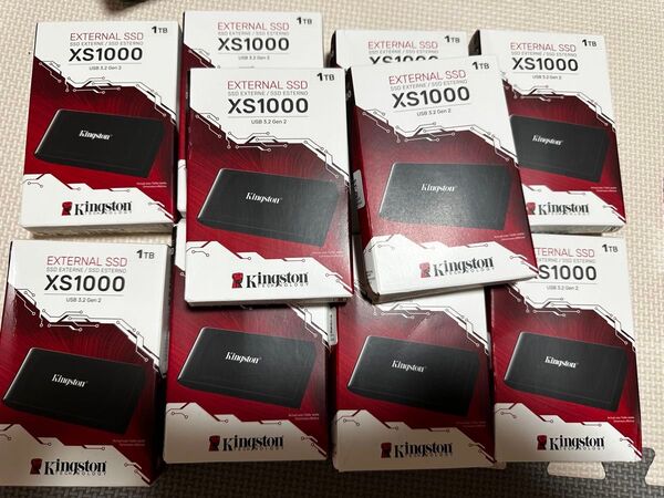 新品未開封 Kingston 外付け SSD XS1000 1TB USB3.2 10個セット