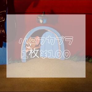 ハーフカプラ 1枚100円