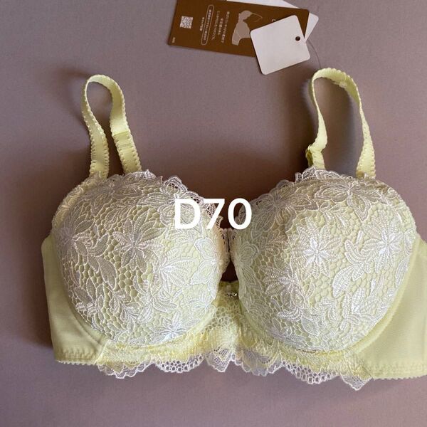 D70 ウイング ワコール レシアージュ ブラジャー