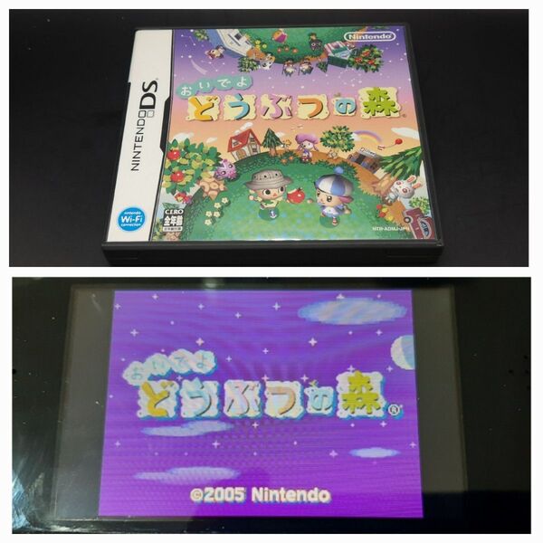 【DS中③フリ】おいでよ どうぶつの森 DS Nintendo