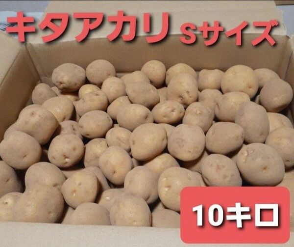 じゃがいも キタアカリ Sサイズ 10キロ