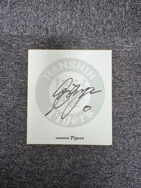 阪神タイガース 木浪聖也 選手 直筆サイン色紙