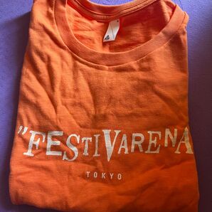 2014年 スピッツTシャツ FESTIVARENA 半袖