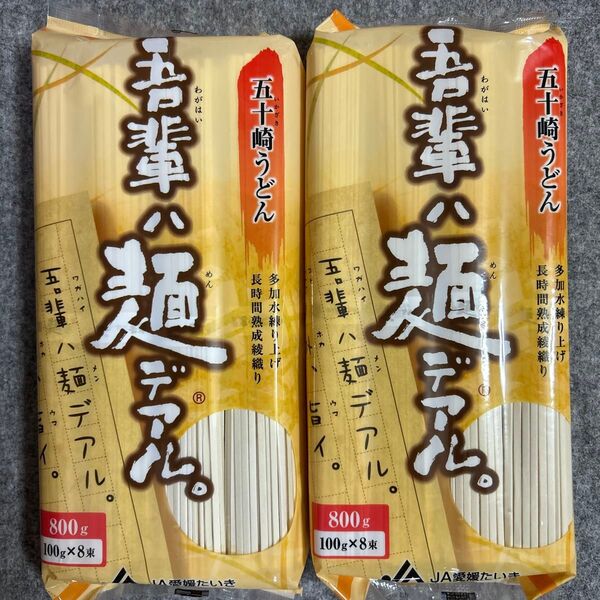JA愛媛たいき 吾輩ハ麺デアル。 五十崎うどん 800g×2袋