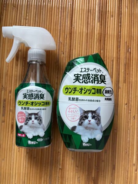 エステーペット 実感消臭スプレー 本体 /置き型消臭/フレッシュグリーン/猫用