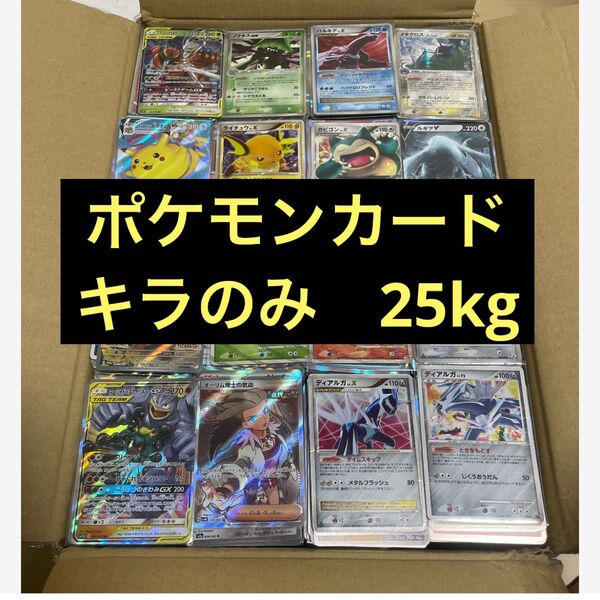 ポケモンカード ポケカレア キラのみ 25kg 処分
