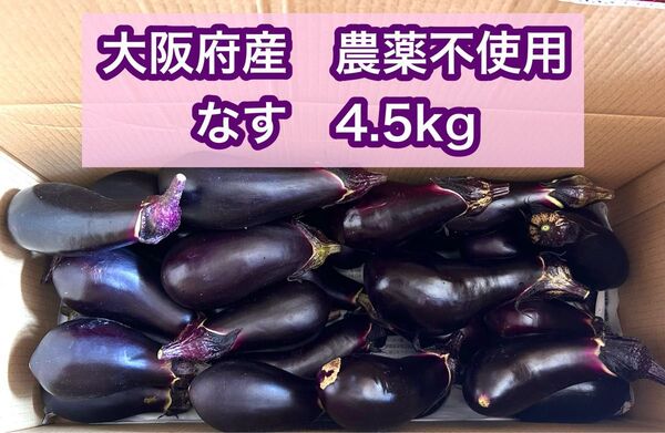 大阪府産 農薬不使用 なす 4.5kg 訳あり