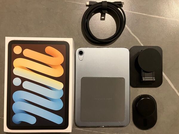 【美品おまけ多数】 iPad mini A17pro 256GB ブルー 第七世代 Wi-Fiモデル
