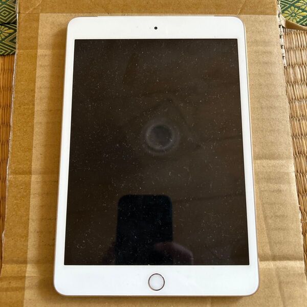 Apple iPad mini3
