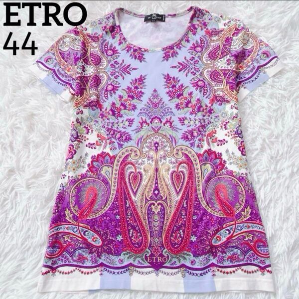 ETRO エトロ ペイズリー 総柄 Tシャツ ティーシャツ トップス 半袖 綿 イタリア製 大きいサイズ 44 2XL