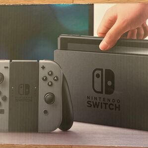 Nintendo Switch 本体 グレー